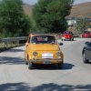 Bolognetta_09 (500)